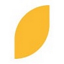 Trellus Health Inc.