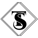 Treo Staffing Llc logo