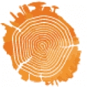 Trevor Noah Foundation logo