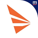 Triangle Insights Group