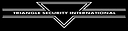 Triangle Security Limited logo