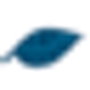 Triathlon Homes Llp logo