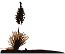 Tribal Print Source logo