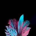 Tribal Tech Limited logo
