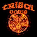 Tribal Voice logo