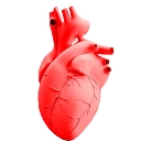 Tricog Health logo