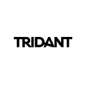 Tridant Pty Ltd logo