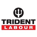 Trident Trades & Labour Hire logo