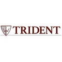 Trident Process Systems, Llc logo