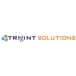 Trigint Solutions LLC logo