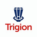 Trigion Security Services Ltd logo