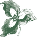 Trillium Links & Village logo