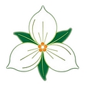 Trillium Recreation Management logo