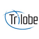 Trilobe Consulting