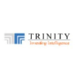 TRINITY CONSULTING INC logo