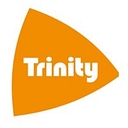 Favicon of Trinity Construction