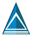 Trion Technology, Inc. logo