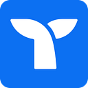 Willy logo