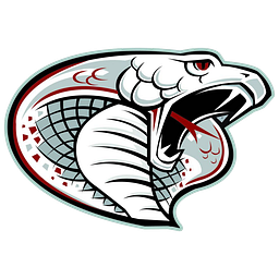 TRITON ELEMENTARY logo