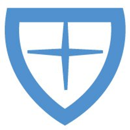 Triumph Services logo