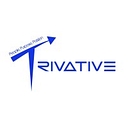 Trivative Planning Consultants Llc logo