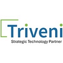 Triveni It logo