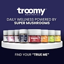 Troomy logo