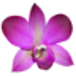 Care Homes Registry logo