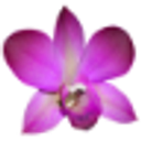 Trucare Community logo