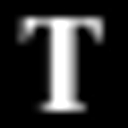 truckvilletexas.com icon