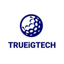 Trueigtech logo — Full Stack Developer(React/Next+Node js) job on DevsUnite