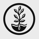 True Leaf Market logo