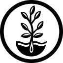True Leaf Market logo