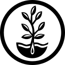 True Leaf Market logo