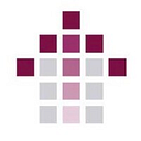 True North Medical Group logo