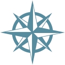 True North Insights