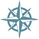 Truenorth Insight, Inc. logo