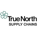 True North logo