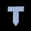 True Points logo
