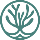 True Sea Moss logo