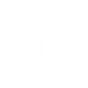 The True Vine A Christian Foundation logo