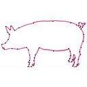 Trufflepig Travel Inc. logo