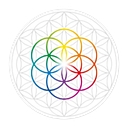 trulydivine.com logo