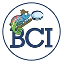 Blue Chameleon Investigations & Consulting logo