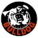 Bulldog Security and Communications