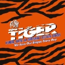 Tiger Plumbing, Heating, Air Conditioning, & Electrical Services logo