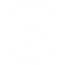 Trusummit Solutions logo