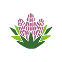 Yucca Health logo