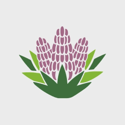 Yucca Health logo