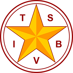TEXAS SCHOOL FOR THE BLIND AND VISUALLY IMPAIRED logo